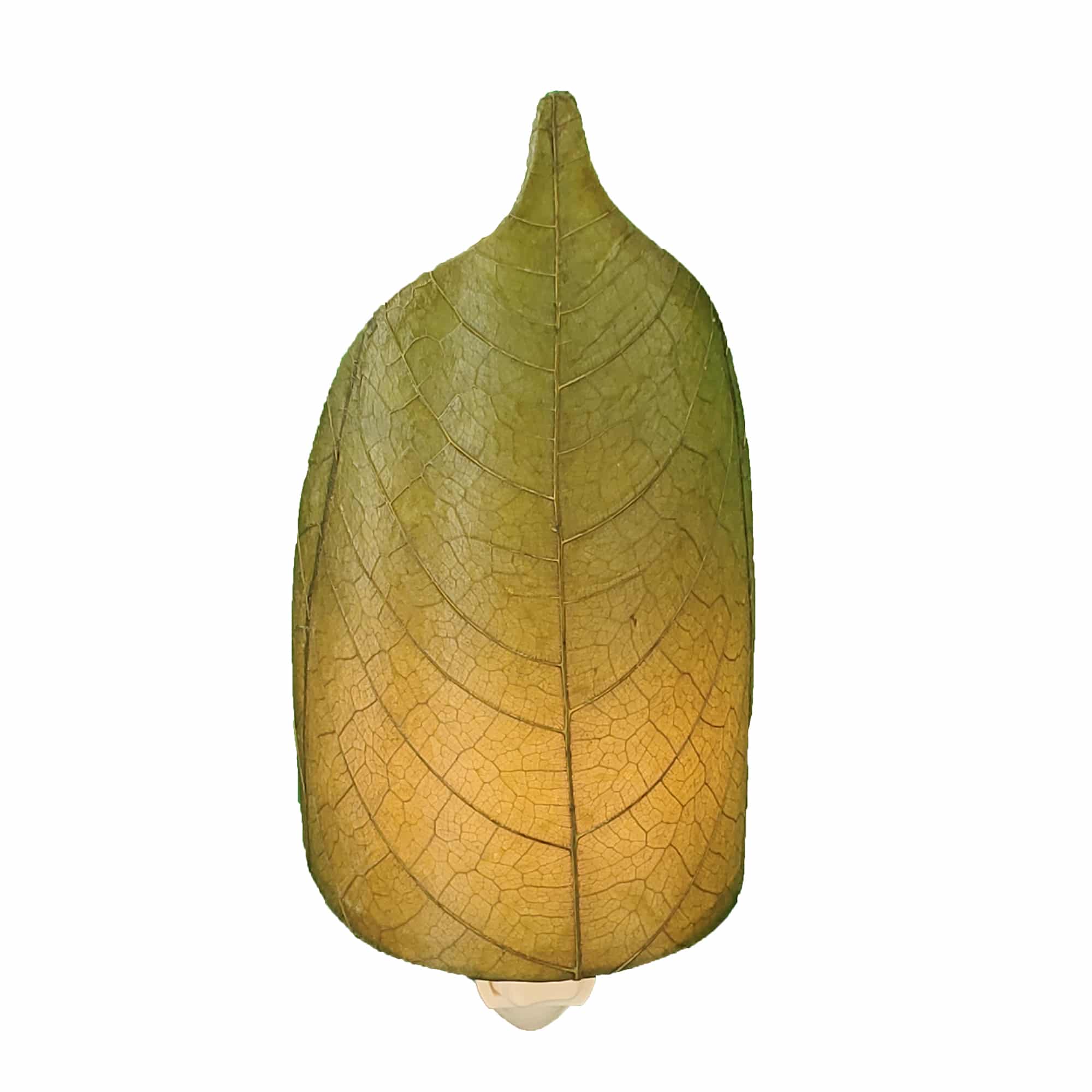 Canova Home Leaf Nightlight - Thumbnail 2